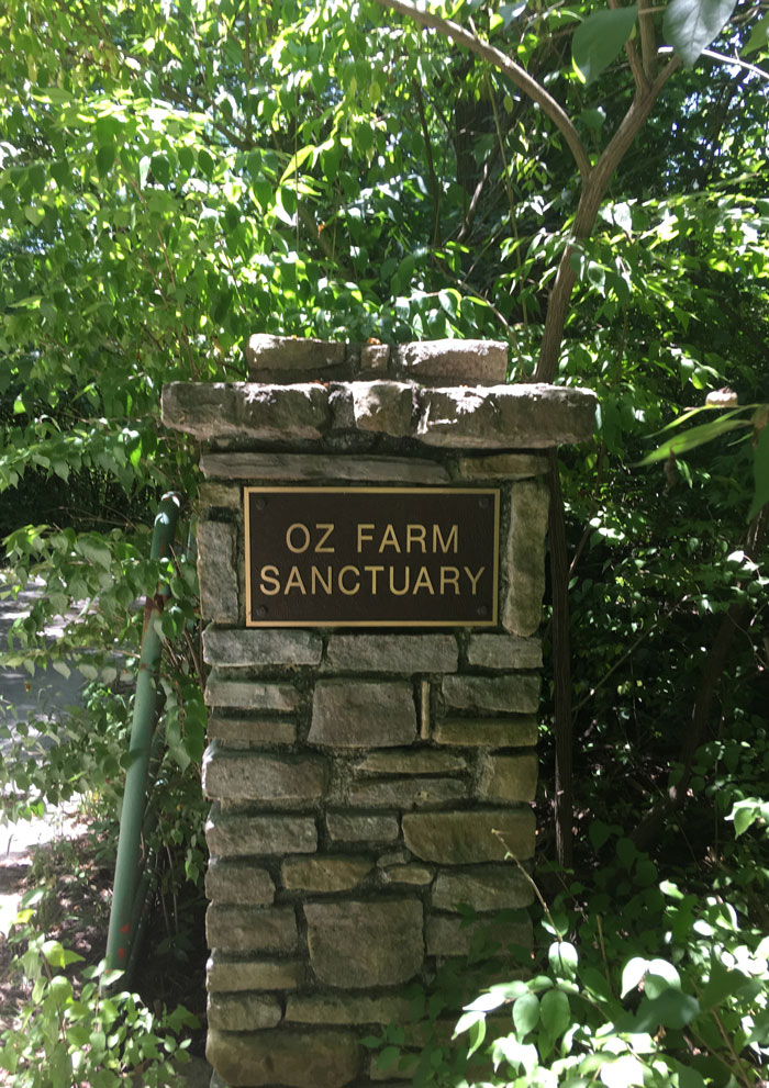 The stone marker at the driveway holds a sign that says Oz Farm Sanctuary.