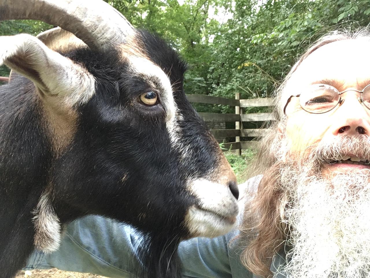 A goat at the Sanctuary.
